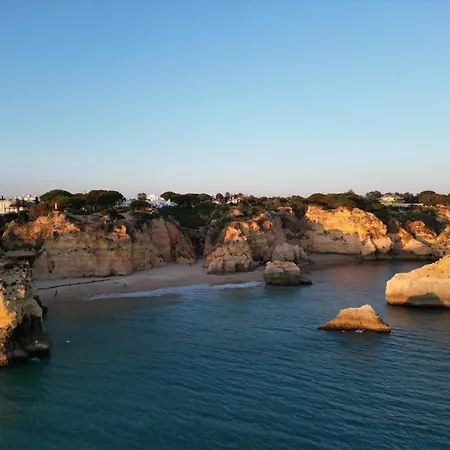 Sal E Tal By Lovelystay