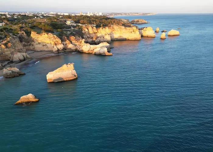 Sal E Tal By Lovelystay *