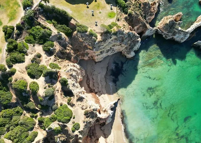 Sal E Tal By Lovelystay *