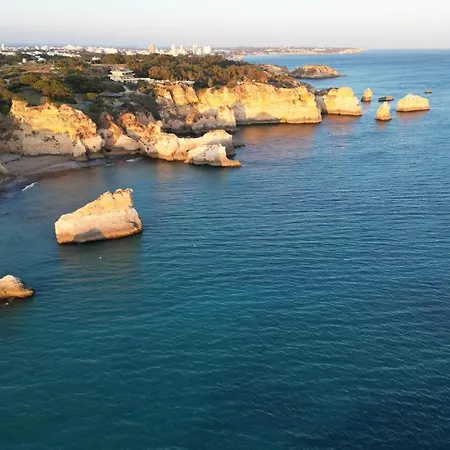 Sal E Tal By Lovelystay *